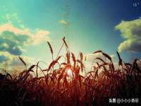 苏州墨哲根商贸有限公司
