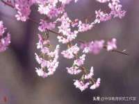 苏州墨哲根商贸有限公司