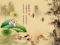 苏州墨哲根商贸有限公司