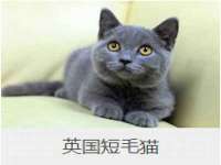 苏州墨哲根商贸有限公司