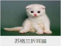 苏州墨哲根商贸有限公司