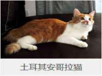 苏州墨哲根商贸有限公司