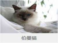 苏州墨哲根商贸有限公司