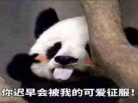 苏州墨哲根商贸有限公司