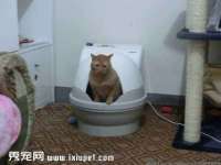 苏州墨哲根商贸有限公司