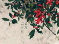 苏州墨哲根商贸有限公司