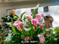 苏州墨哲根商贸有限公司