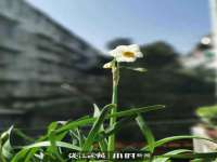 苏州墨哲根商贸有限公司
