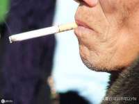 苏州墨哲根商贸有限公司