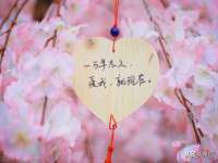 苏州墨哲根商贸有限公司