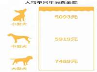 苏州墨哲根商贸有限公司