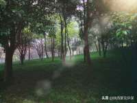 苏州墨哲根商贸有限公司