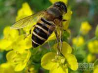 苏州墨哲根商贸有限公司