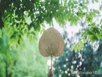 苏州墨哲根商贸有限公司