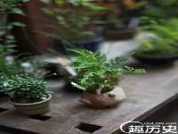 苏州墨哲根商贸有限公司