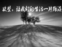苏州墨哲根商贸有限公司