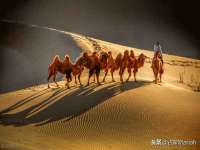 苏州墨哲根商贸有限公司