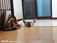 苏州墨哲根商贸有限公司