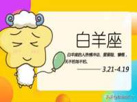 苏州墨哲根商贸有限公司