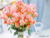 苏州墨哲根商贸有限公司